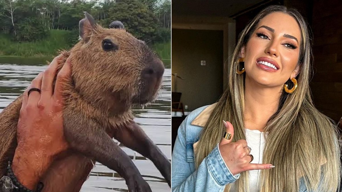 Capivara Filó gera mais interesse na web que Amanda Meirelles