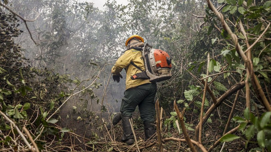 Brigadista tenta conter incêndio na Amazônia Brigadista tenta conter incêndio na Amazônia