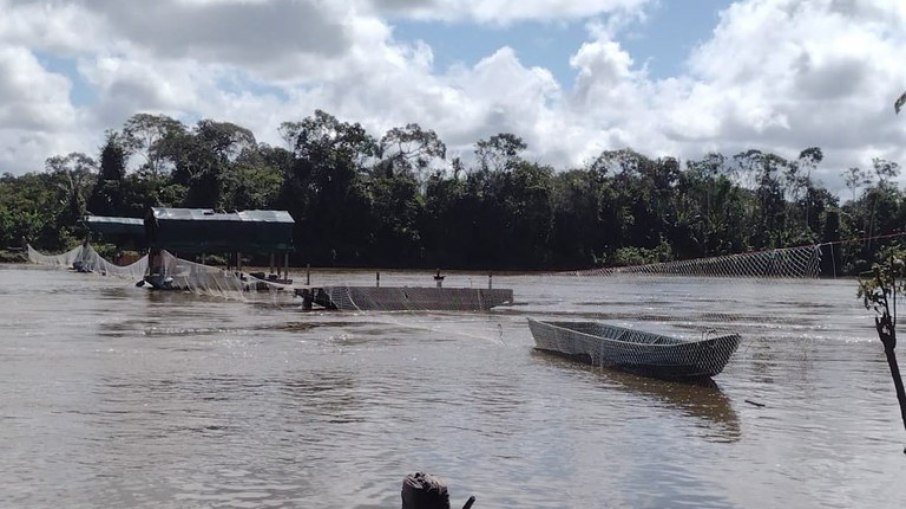 Base federal no Território Indígena Yanomami sofreu atentado