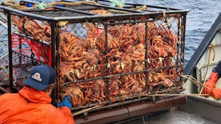 Mar instável e temperaturas congelantes tornam a pescaria do King Crab um grande desafio Mar instável e temperaturas congelantes tornam a pescaria do King Crab um grande desafio