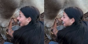 Cantando, Ana Castela ordenha vaca na fazenda de Leonardo