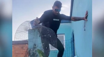 Vídeo de papagaio 'pedindo socorro' em resgate no RS viraliza