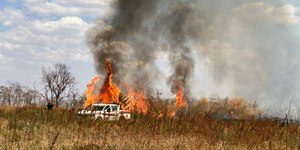 Após incêndios, SP emite alerta de risco mais alto para queimadas