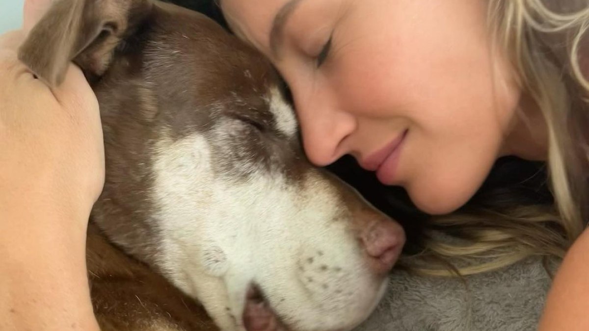 Gisele Bündchen se despede de cachorra Lua