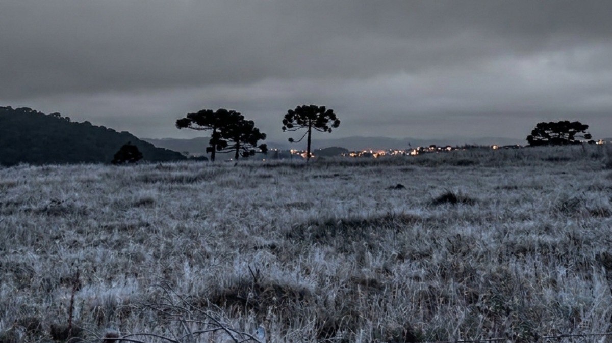 Geada em Urupema deixa em alerta para temperaturas abaixo de zero e neve