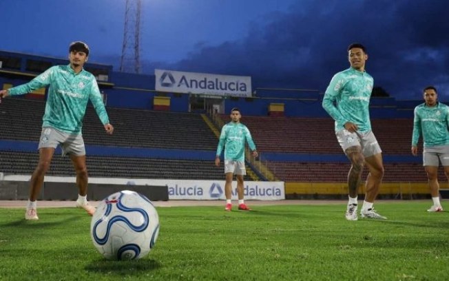 Jogadores do Palmeiras fazem atividade em Quito