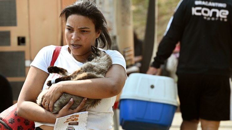 Campinas abre 600 vagas para castração e microchipagem de pets
