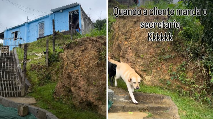 Labrador vira "secretário" e busca entrega para a dona