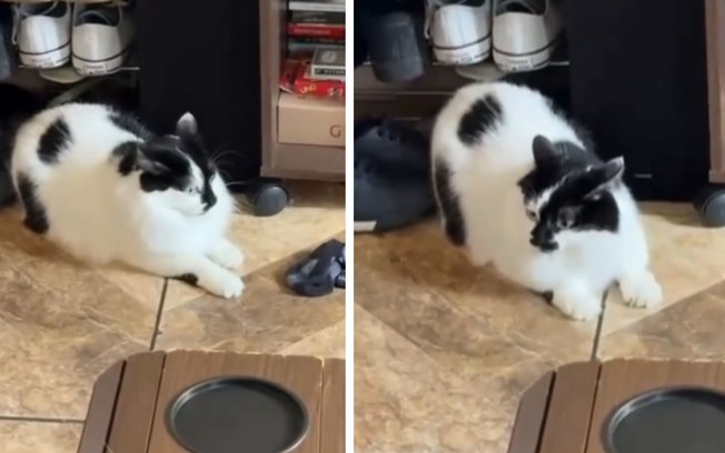 B94je875pwr4hzgw6op0ntpca