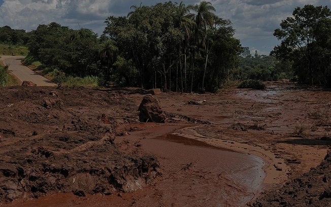 5 anos de Brumadinho: o que tem sido feito para reparação dos danos