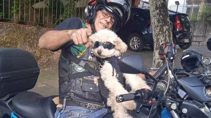 Cadela carismática surpreende por gostar de andar de moto; conheça