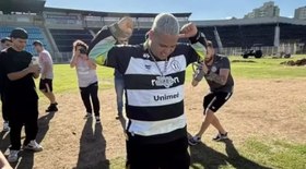 Tubarão branco invade gaiola e causa pânico