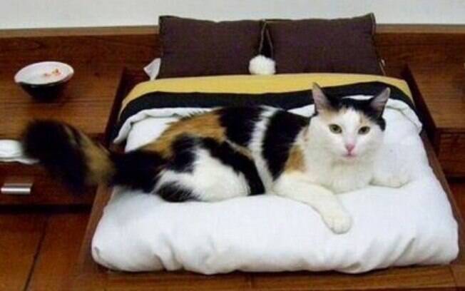 O colchão para gatos pode ser uma boa opção para acostumar o bichano a dormir no local determinado para ele