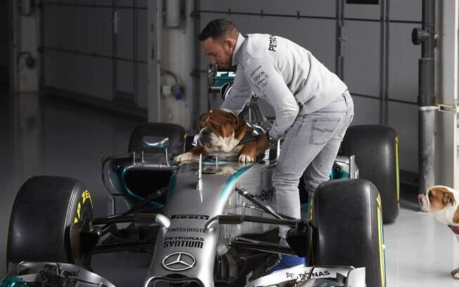 Hamilton e a cachorra na Formula 1