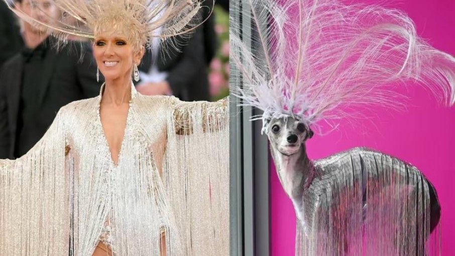 Cachorrinha Tika The Iggy recria look de Céline Dion no Met Gala 2019