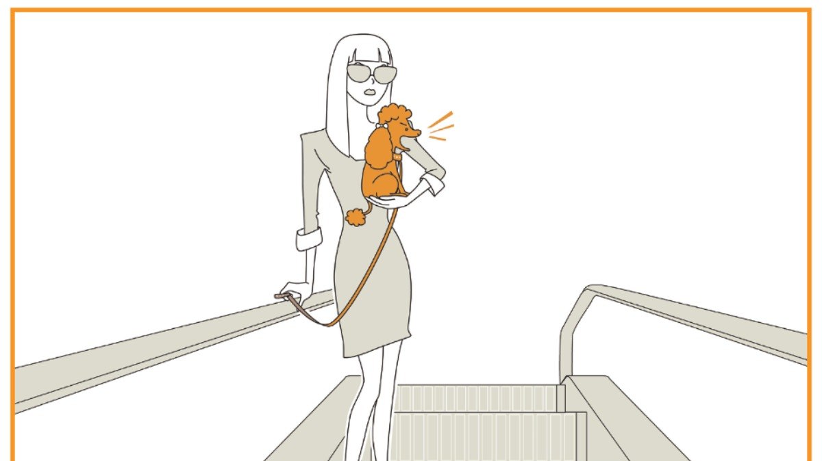 Carregue o pet no colo em escadas e esteiras rolantes para a maior segurança do animal.