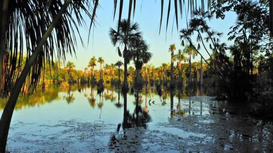 Lagoa das Araras - Nobres (MT)