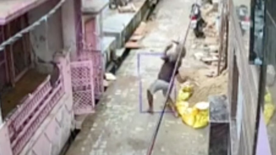 Macaco ataca homem na Índia