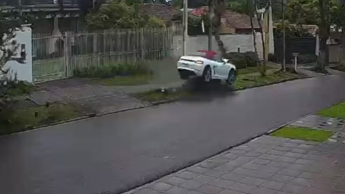 Porsche derrubou árvore e tombou