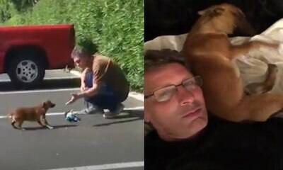 Homem conquista cadela que não deixava ninguém chegar perto