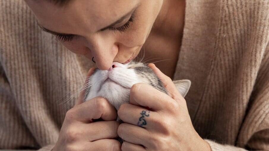 Nem todos os gatos gostam de abraços, mas muitos amam um aconchego