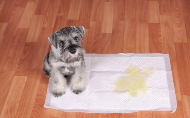 Bce8bh7t0ft9at6r6oa10h9vt