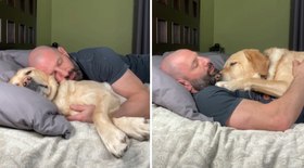 Dono mostra cinco maneiras de dormir com cachorro grande