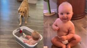 Cachorro e bebê companheiros de aventuras bombam na internet