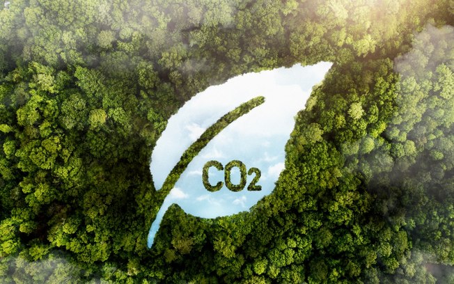 Crédito de carbono de alta qualidade sobe 75%, diz MSCI
