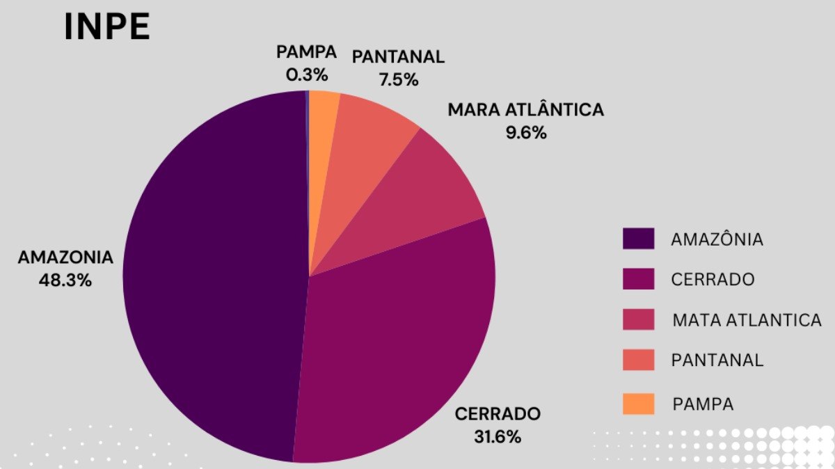 Focos por bioma