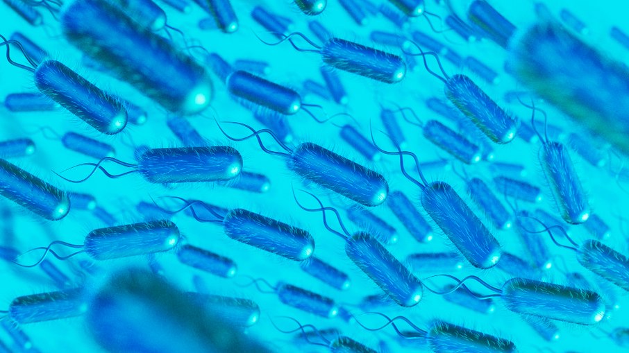 Bactérias super-resistentes ameaçam medicina moderna Bactérias super-resistentes ameaçam medicina moderna