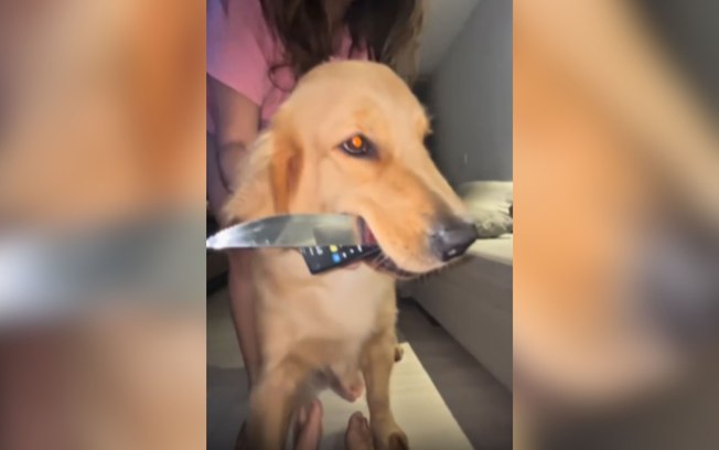 Bf8krk95tjuagqmhbxwxfgpm8