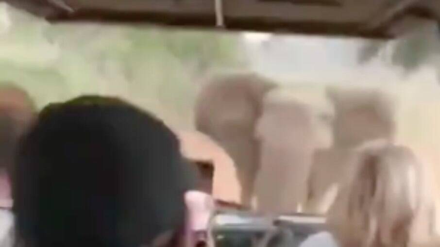 Elefante perseguiu carro com grupo de turistas