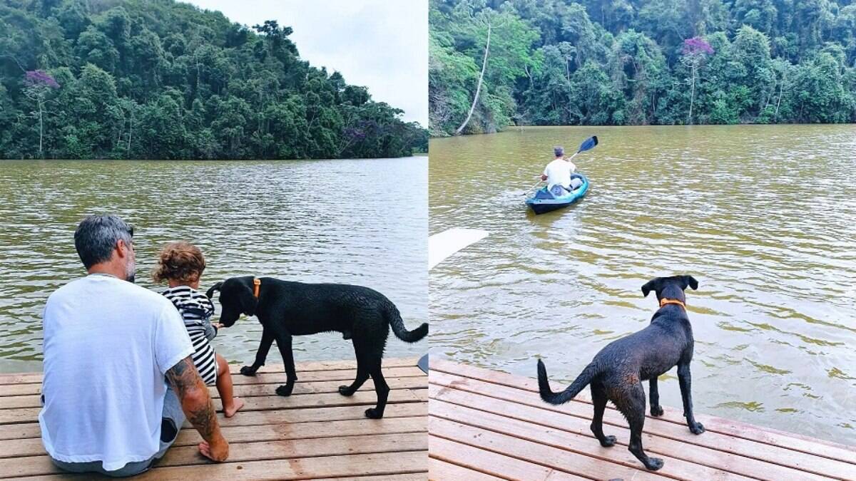 Bruno Gagliasso em passeio de barco com o filho e o cachorro