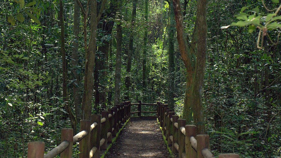Trilha das Capivaras - Parna Brasília - DF Trilha das Capivaras - Parna Brasília - DF