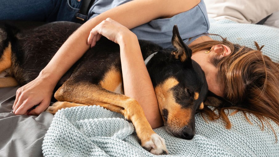 Cachorro dormindo encostado no tutor