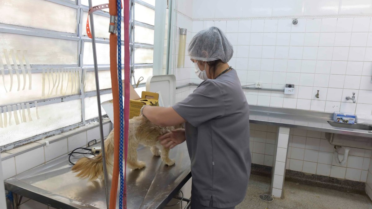 Para inscrever o pet o tutor deve acessar a página dpan.guarulhos.sp.gov.br e seguir o passo a passo de cadastro. Para inscrever o pet o tutor deve acessar a página dpan.guarulhos.sp.gov.br e seguir o passo a passo de cadastro.