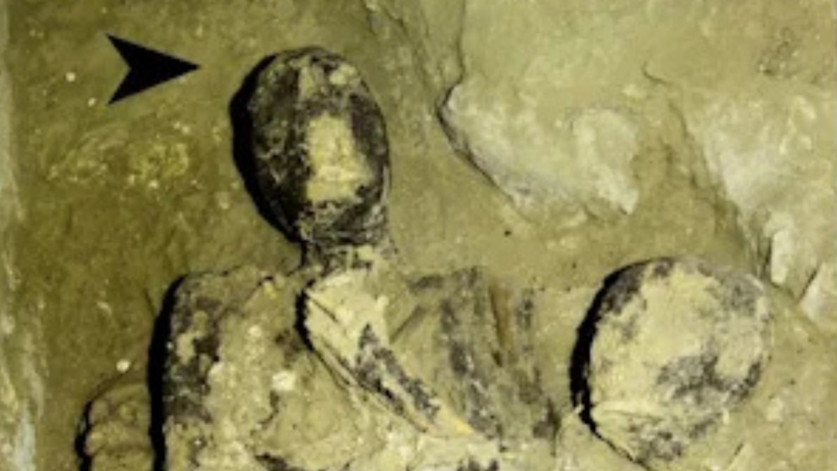 Tumba de 2.700 anos revela 16 múmias e um cão juntos - QTU Questões do Universo