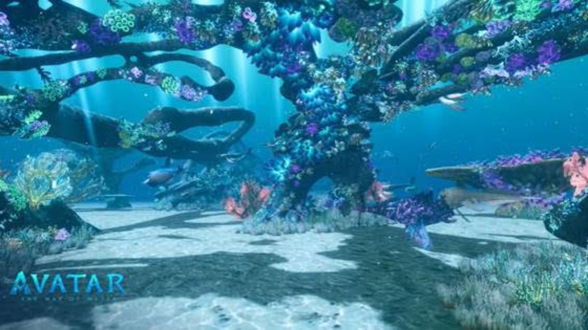 Filme contribuiu para campanha de salvar os oceanos