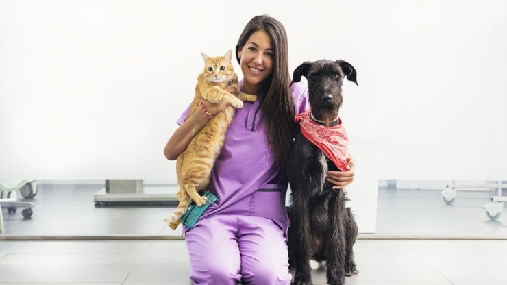 6 dicas para identificar e combater a violência contra os animais