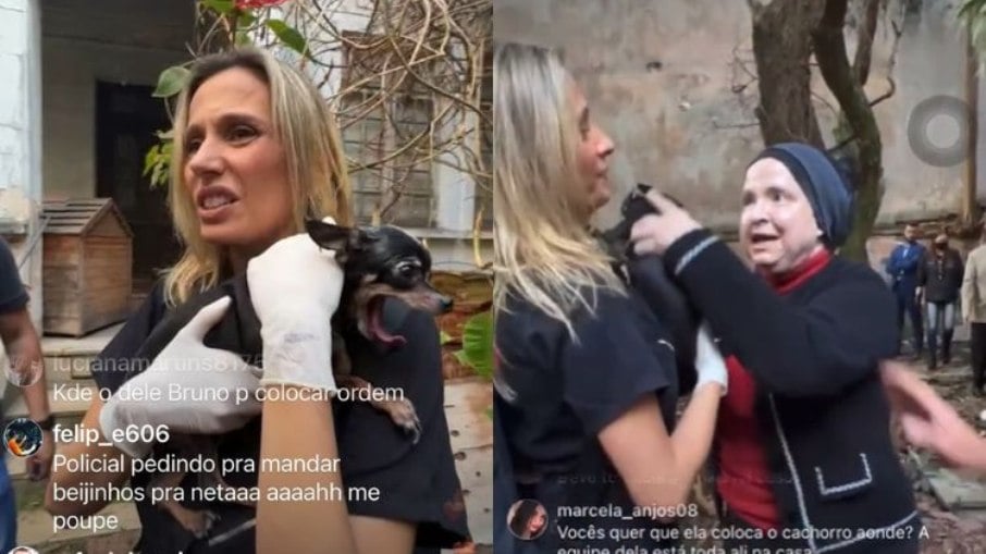 Luísa Mell tentou resgatar gatos e cachorro da casa
