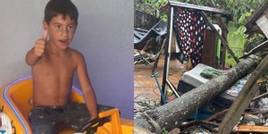 RS: criança morre após árvore cair sobre casa durante temporal