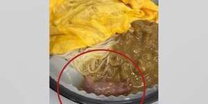 Vídeo: rato recém-nascido é encontrado vivo dentro de marmita 