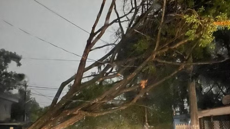 São Paulo entrou em estado de atenção, após a cidade enfrentar tempestade, em 11 de outubro