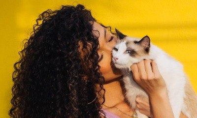 Brasil tem 24,7 mi de gatos; veja 5 cuidados para ter com o seu bichano