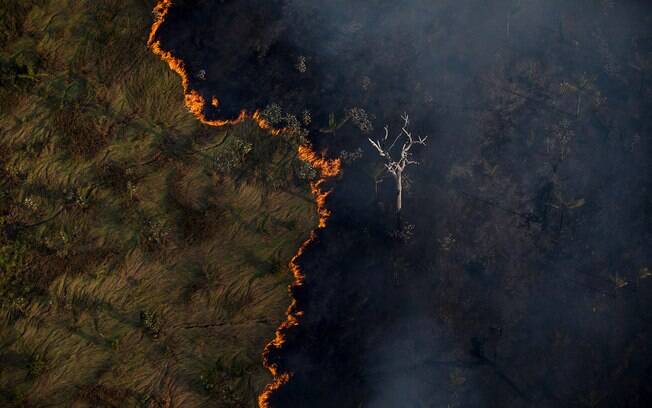 Amazônia é um dos biomas mais degradados no Brasil
