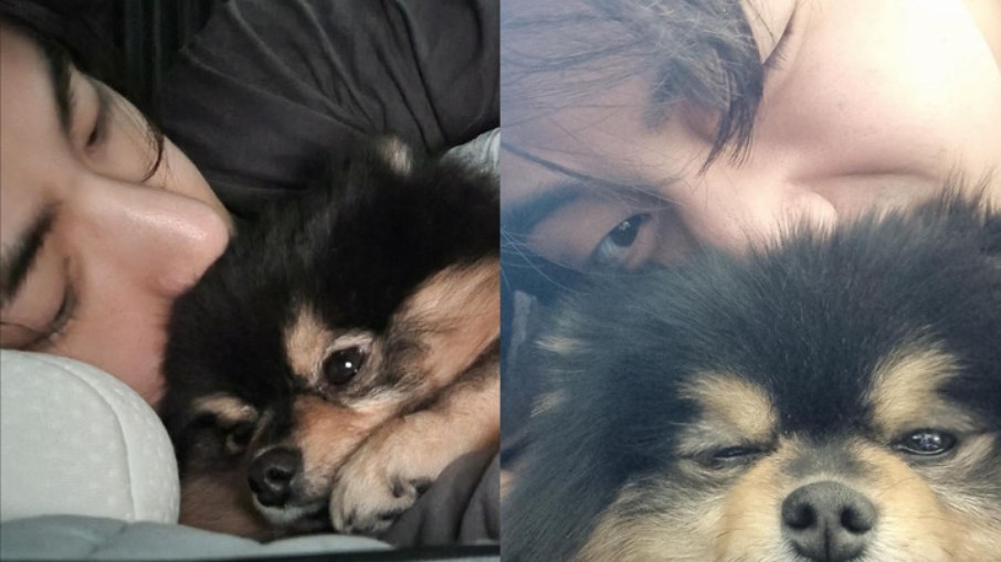 Yeontan, pet do cantor