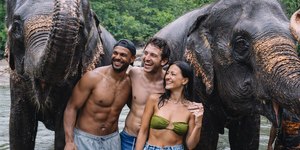 O turismo com elefantes pode acabar? Entenda o que está mudando