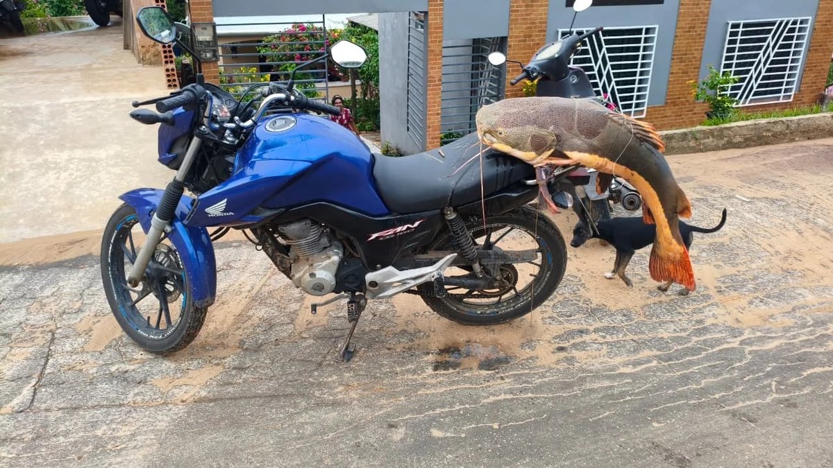 Entregador captura peixe de 26 quilos no Rio Juruá - Foto