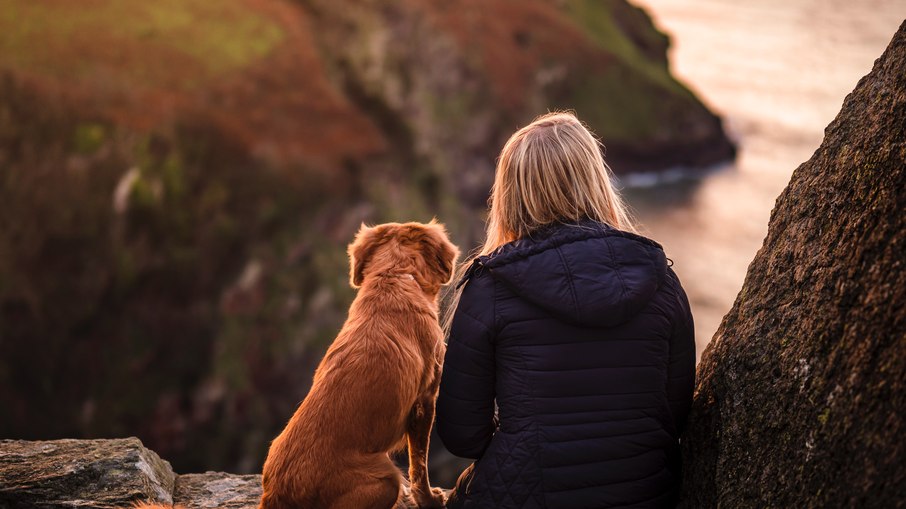 Com o novo estudo, é evidenciado que, além de fazer companhia, os cães trazem outros benefícios para a saúde dos idosos